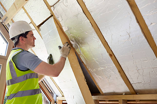 Best Insulation Maintenance and Repair in Everson, WA