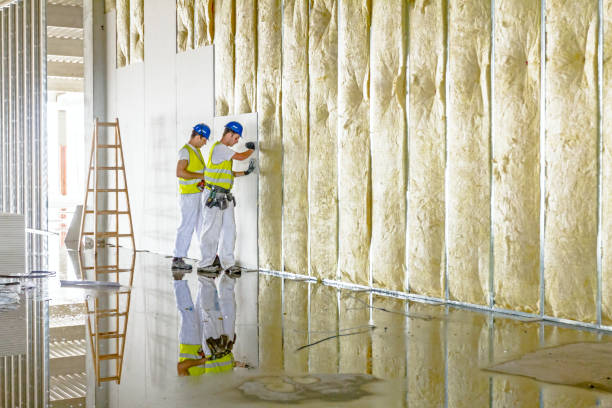 Best Commercial Insulation in Everson, WA